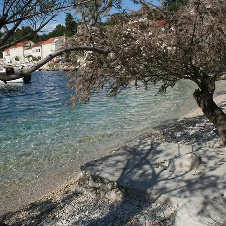 And By The Sea Racisce, Korcula - 4341 Konukevi Račišće
